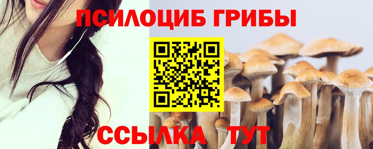 Новокуйбышевск  Галлюциногенные грибы GOLDEN TEACHER  Вход с VPN 